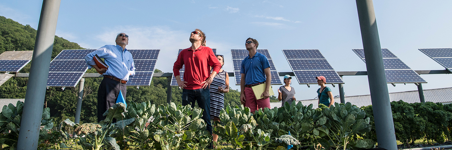 MSc Sustainability University of Salford